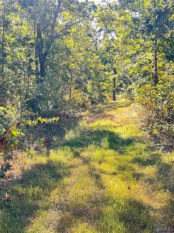 $300,000 | 4800 County Road 4210, Salem, MO 65560