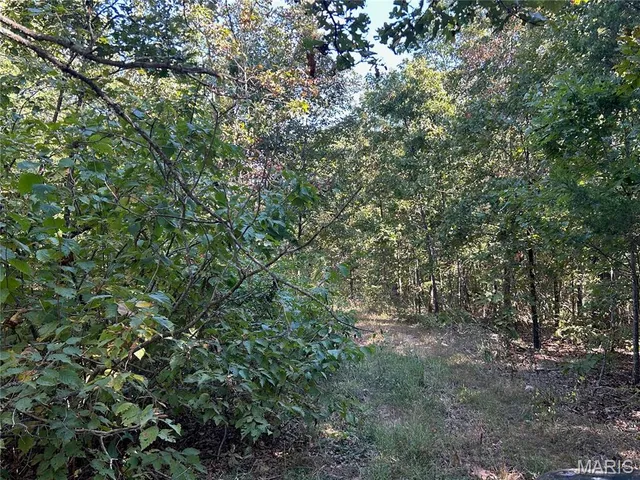 $300,000 | 4800 County Road 4210, Salem, MO 65560