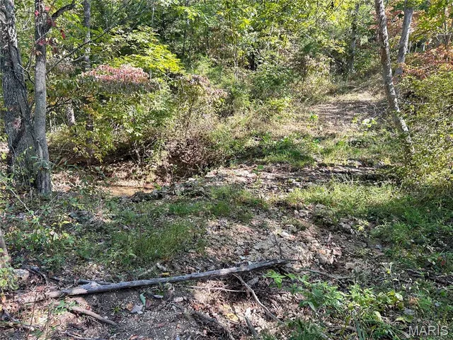 $300,000 | 4800 County Road 4210, Salem, MO 65560