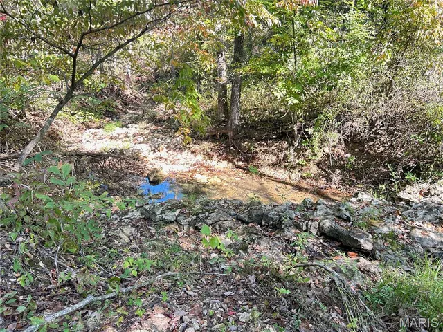 $300,000 | 4800 County Road 4210, Salem, MO 65560