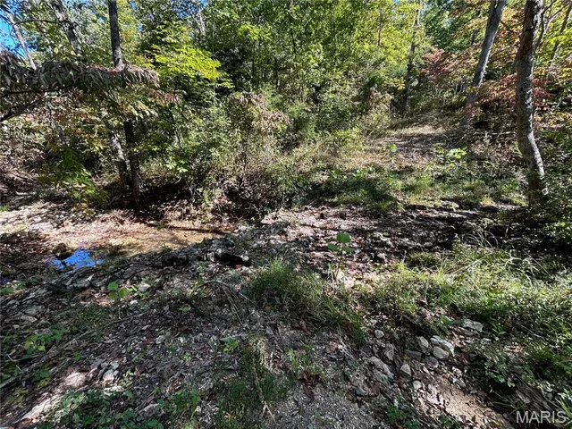 $300,000 | 4800 County Road 4210, Salem, MO 65560