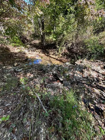 $300,000 | 4800 County Road 4210, Salem, MO 65560