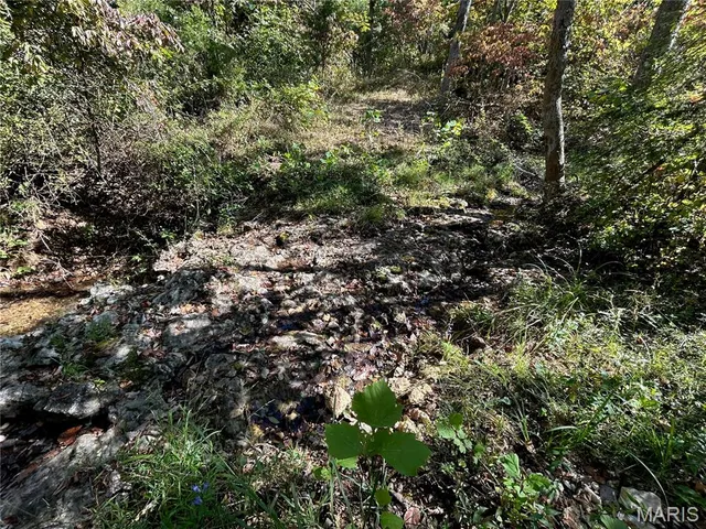 $300,000 | 4800 County Road 4210, Salem, MO 65560