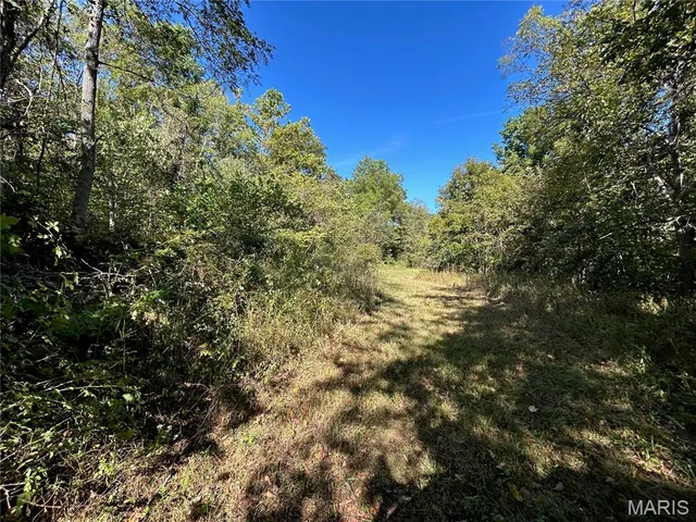 $300,000 | 4800 County Road 4210, Salem, MO 65560