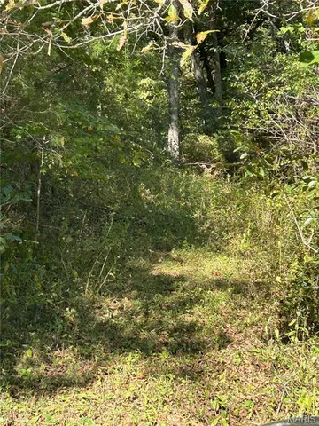 $300,000 | 4800 County Road 4210, Salem, MO 65560