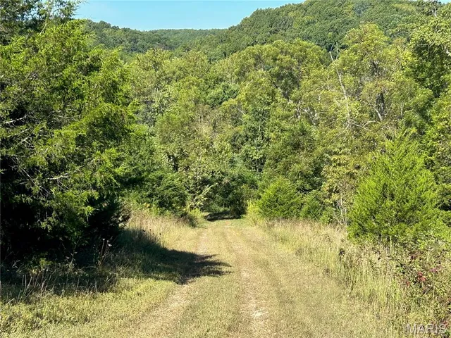 $300,000 | 4800 County Road 4210, Salem, MO 65560