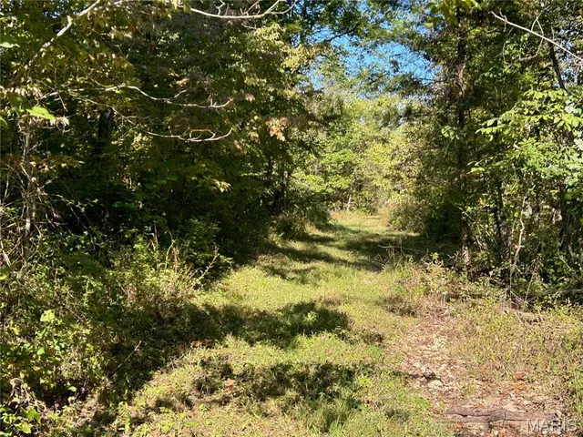 $300,000 | 4800 County Road 4210, Salem, MO 65560