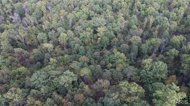 $300,000 | 4800 County Road 4210, Salem, MO 65560