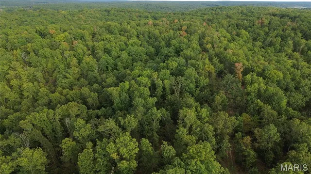 $300,000 | 4800 County Road 4210, Salem, MO 65560