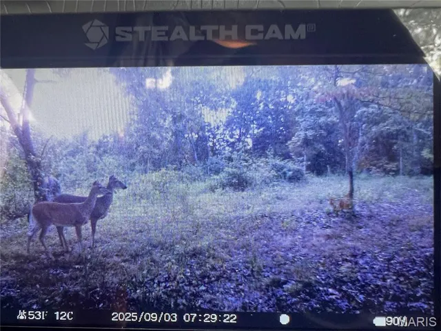 $300,000 | 4800 County Road 4210, Salem, MO 65560