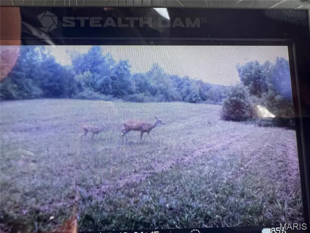 $300,000 | 4800 County Road 4210, Salem, MO 65560