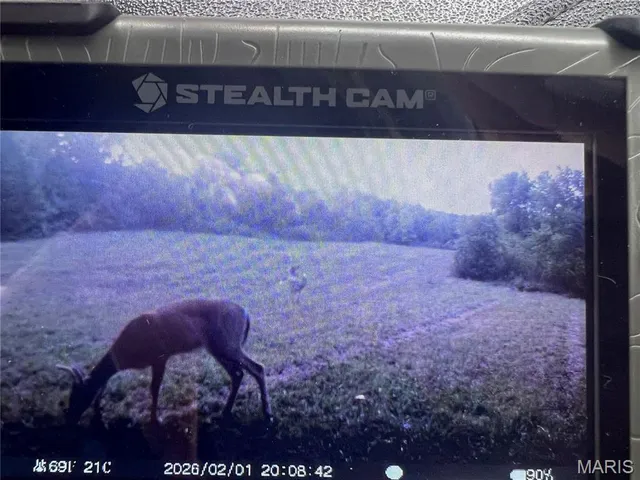 $300,000 | 4800 County Road 4210, Salem, MO 65560