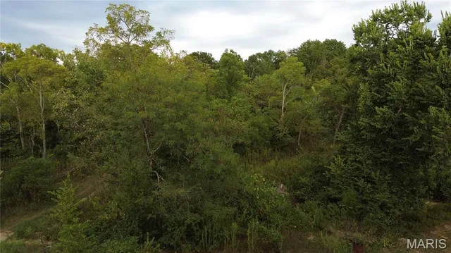 $300,000 | 4800 County Road 4210, Salem, MO 65560