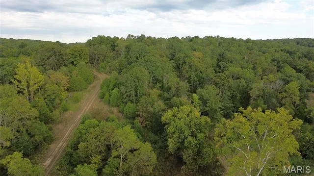 $300,000 | 4800 County Road 4210, Salem, MO 65560