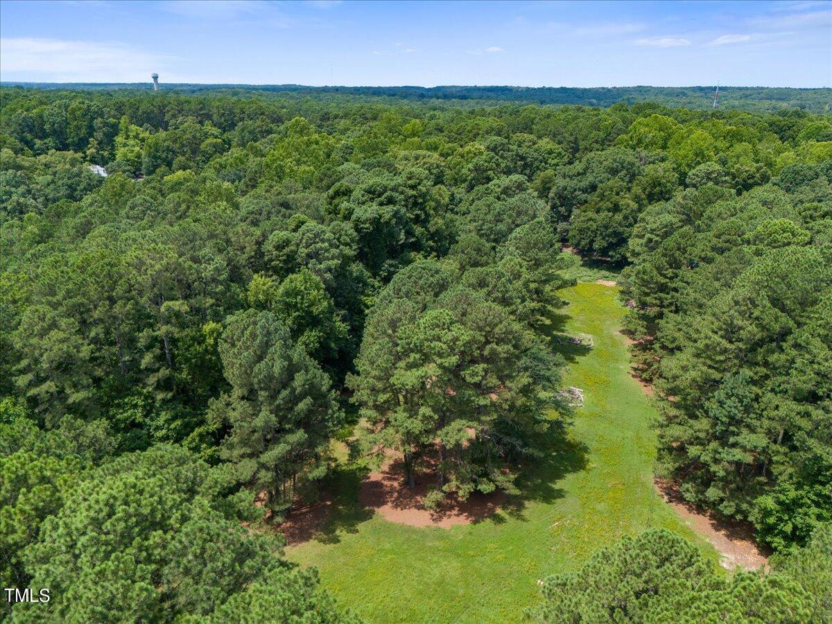 12932 Ghoston Road Wake Forest, NC 27587 - Photo 1 of 22 a view of a green field with lots of bushes