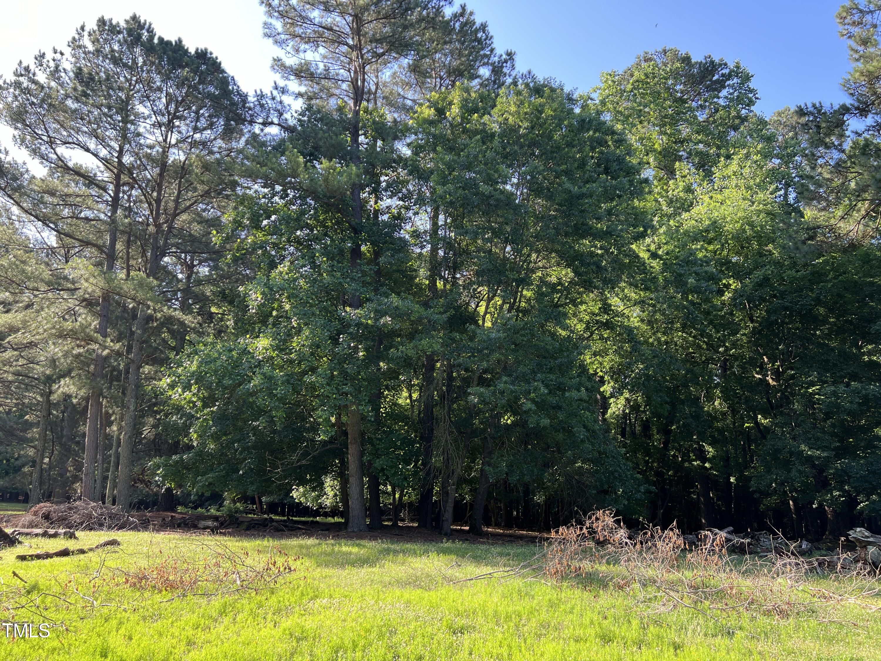 12932 Ghoston Road Wake Forest, NC 27587 - Photo 20 of 22 a view of swimming pool with lawn chairs and large trees
