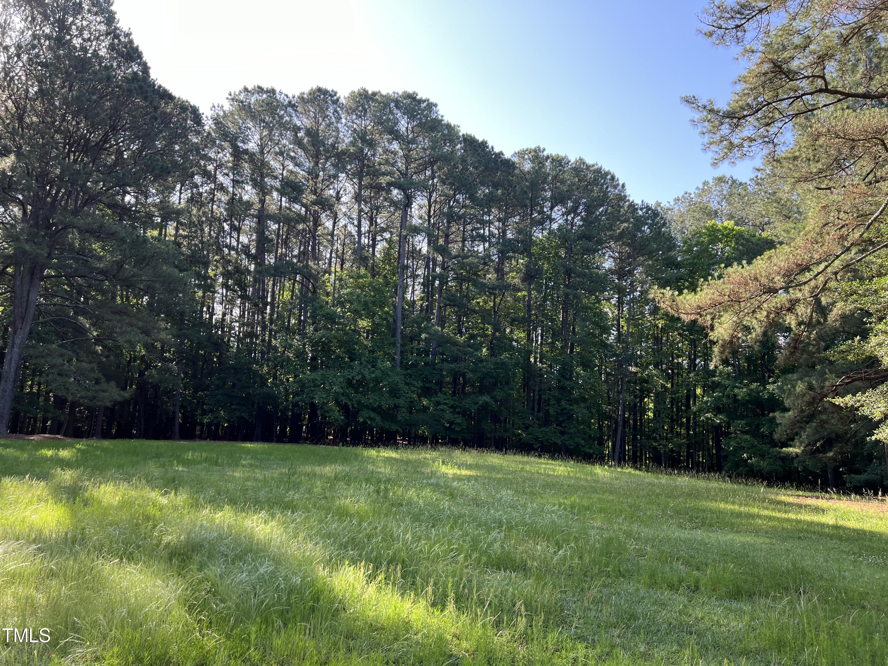 12932 Ghoston Road Wake Forest, NC 27587 - Photo 21 of 22 a view of a backyard