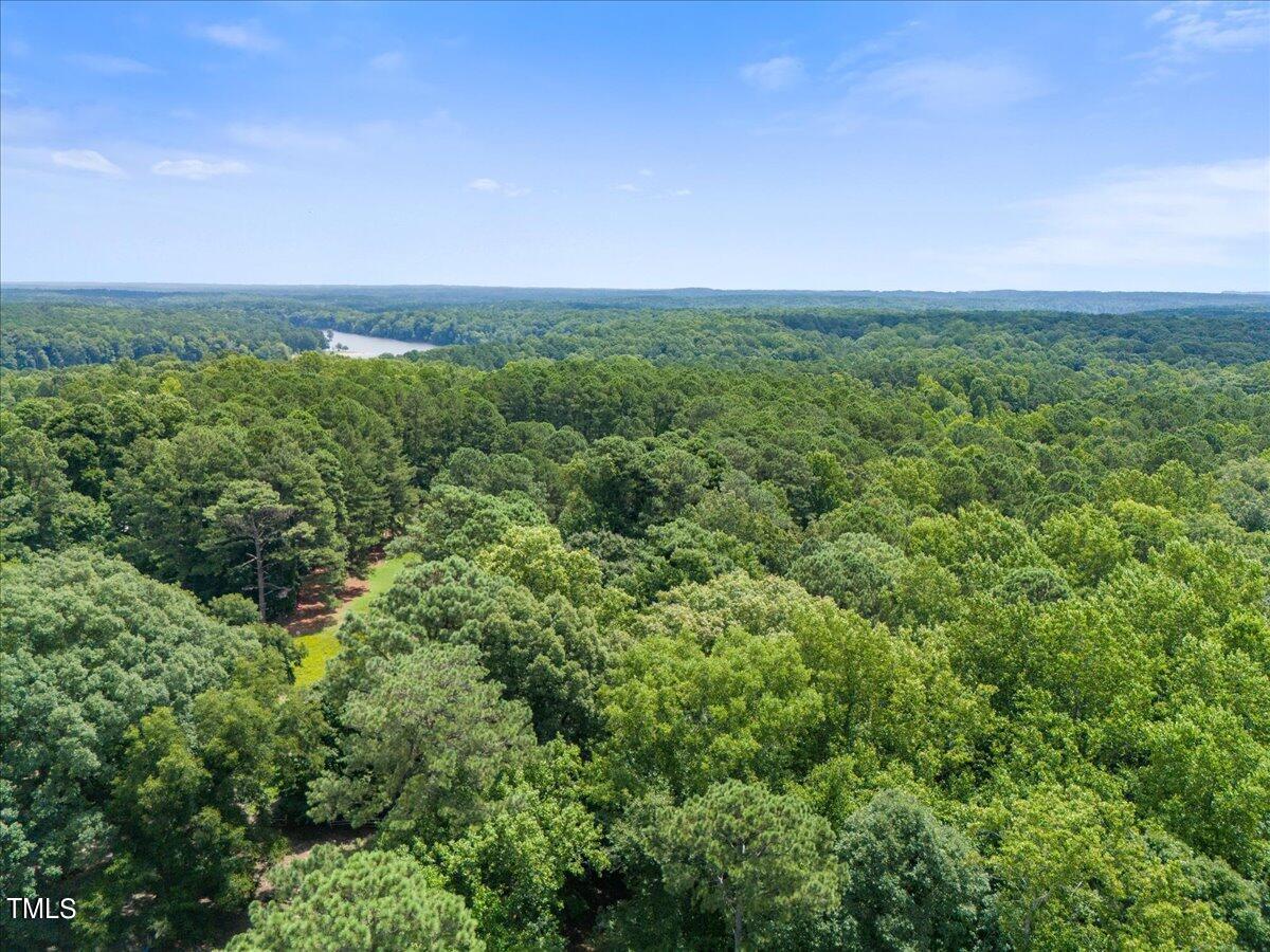 12932 Ghoston Road Wake Forest, NC 27587 - Photo 5 of 22 an aerial view of houses covered in trees