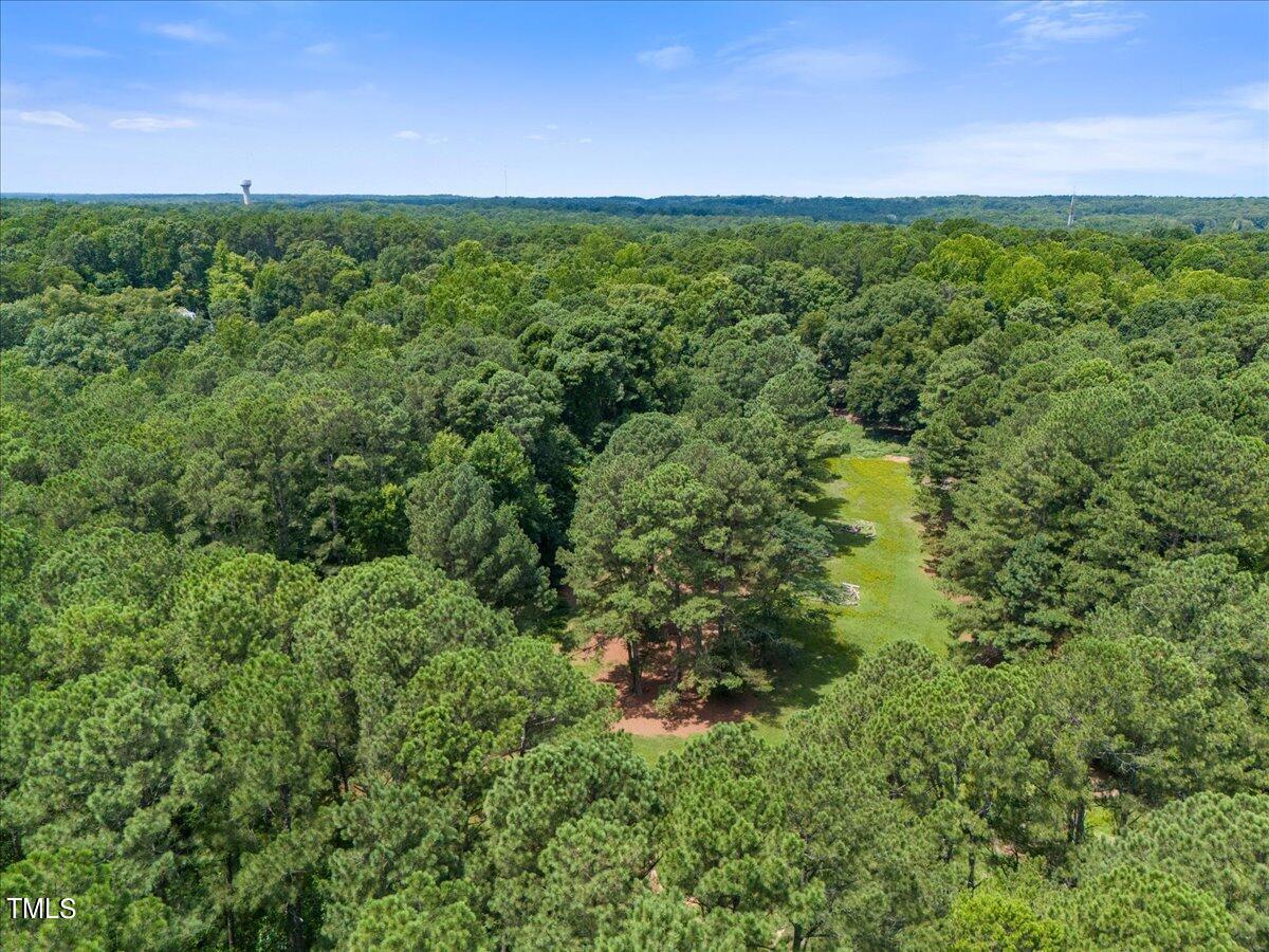 12932 Ghoston Road Wake Forest, NC 27587 - Photo 6 of 22 a view of a green field