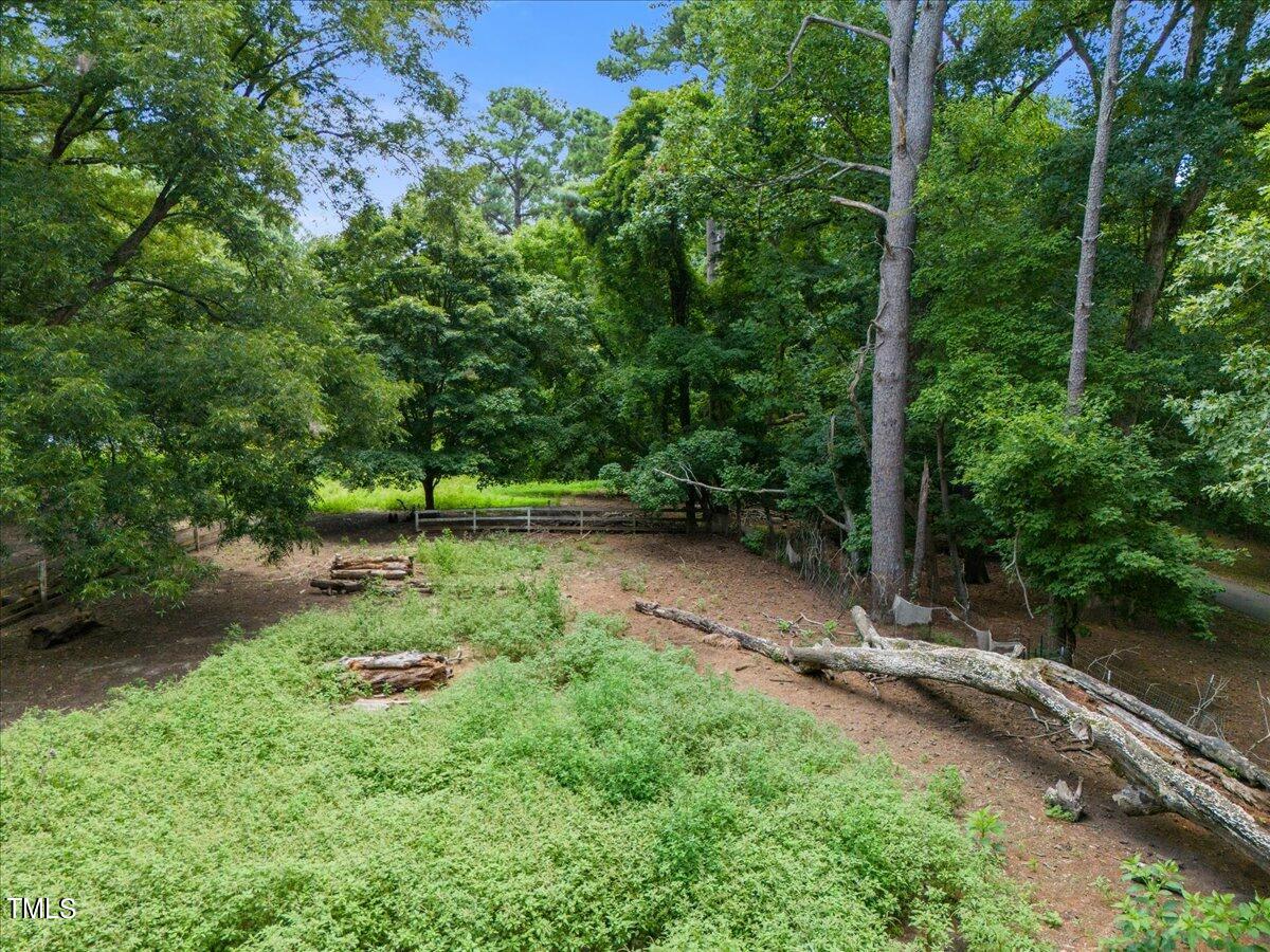 12932 Ghoston Road Wake Forest, NC 27587 - Photo 9 of 22 a backyard of a house with lots of green space