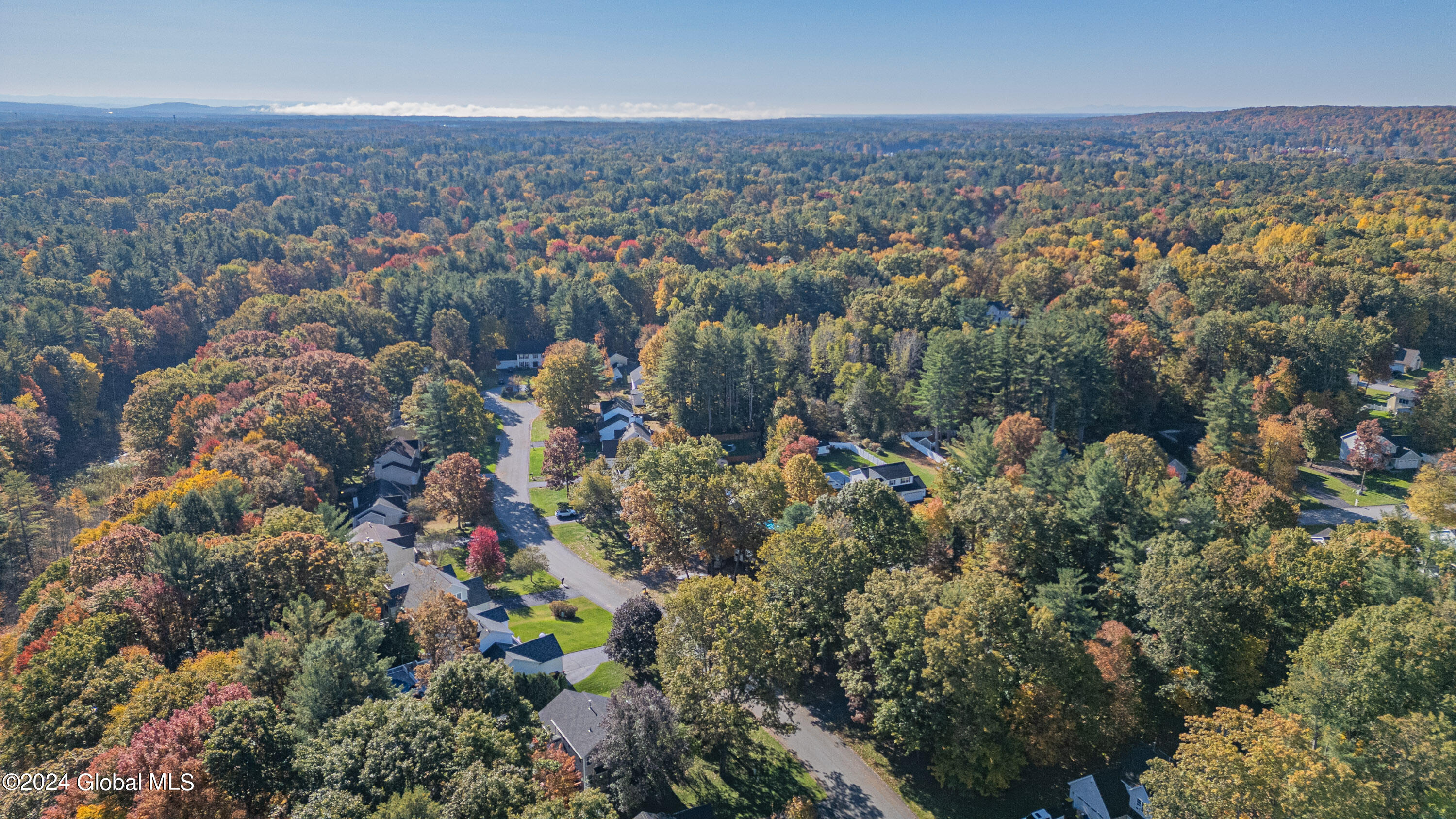 20 Thistle Road Wilton, NY 12831 - Photo 48 of 61 Air Yard 8