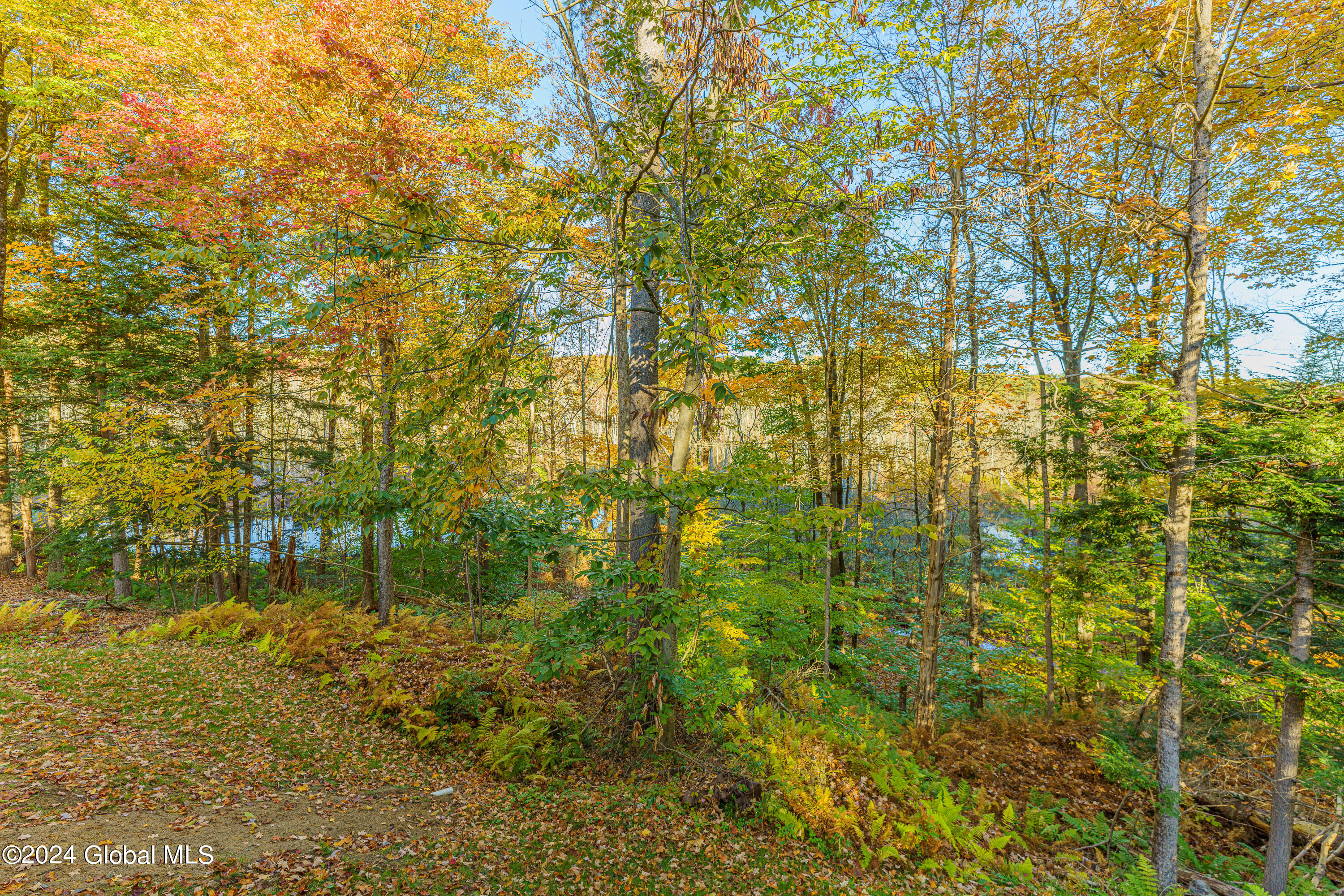 20 Thistle Road Wilton, NY 12831 - Photo 54 of 61 Yard 6