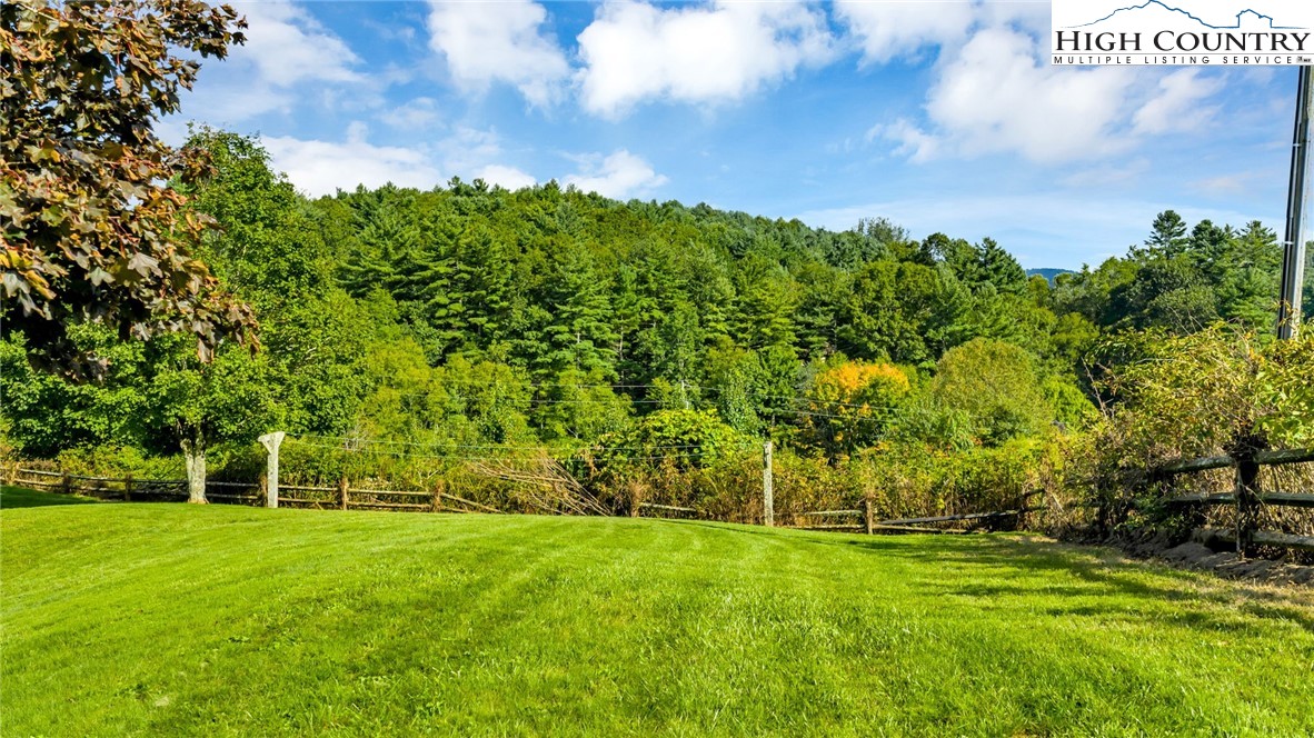 354 Old Wilkes Road Jefferson, NC 28640 - Photo 46 of 50 a view of a field with a tree in the background