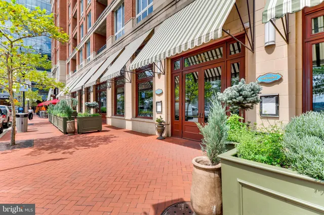 a view of a building with potted plants