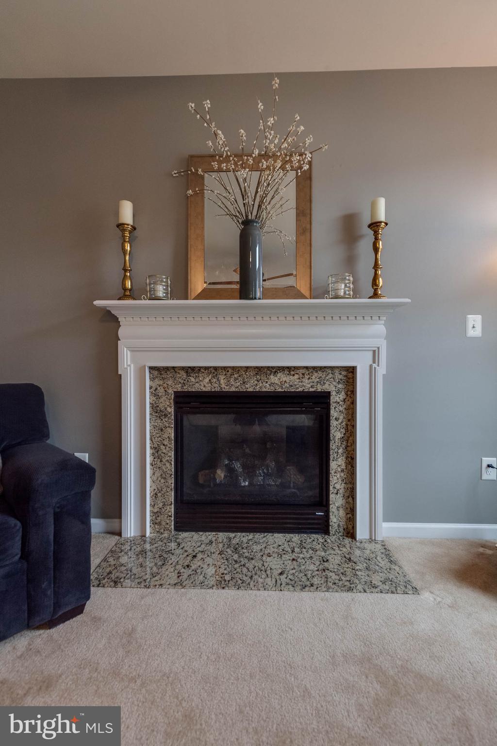 5504 Doubs Road Adamstown, MD 21710 - Photo 17 of 30 GAS FIREPLACE
