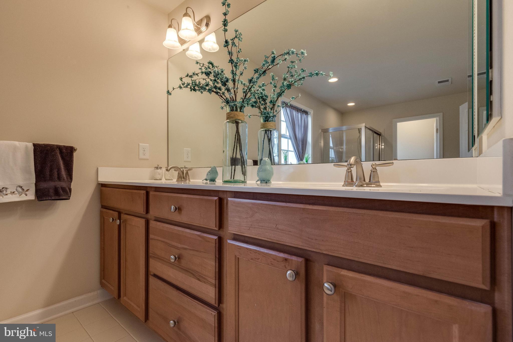 5504 Doubs Road Adamstown, MD 21710 - Photo 24 of 30 DOUBLE VANITY