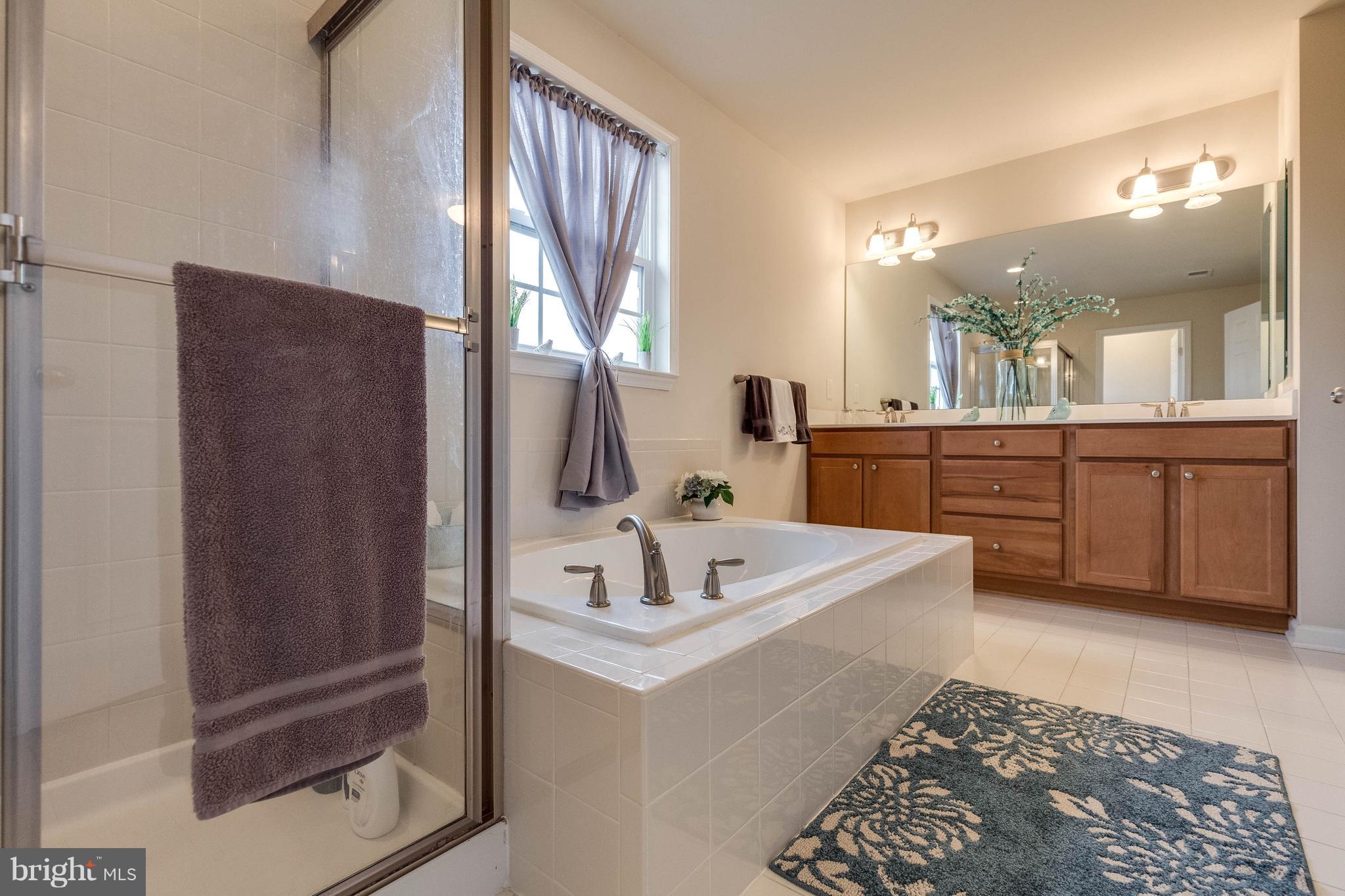 5504 Doubs Road Adamstown, MD 21710 - Photo 25 of 30 Bath (Master)