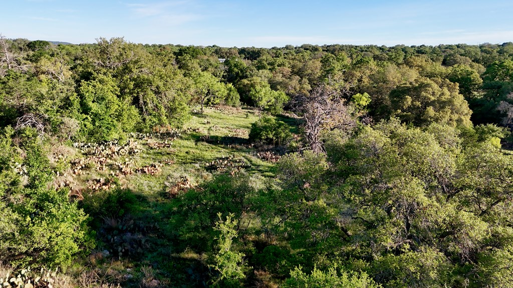 Tbd Tbd Madden Ranch Road Valley Spring, TX 76885 - Photo 18 of 46 Gallery Image 18