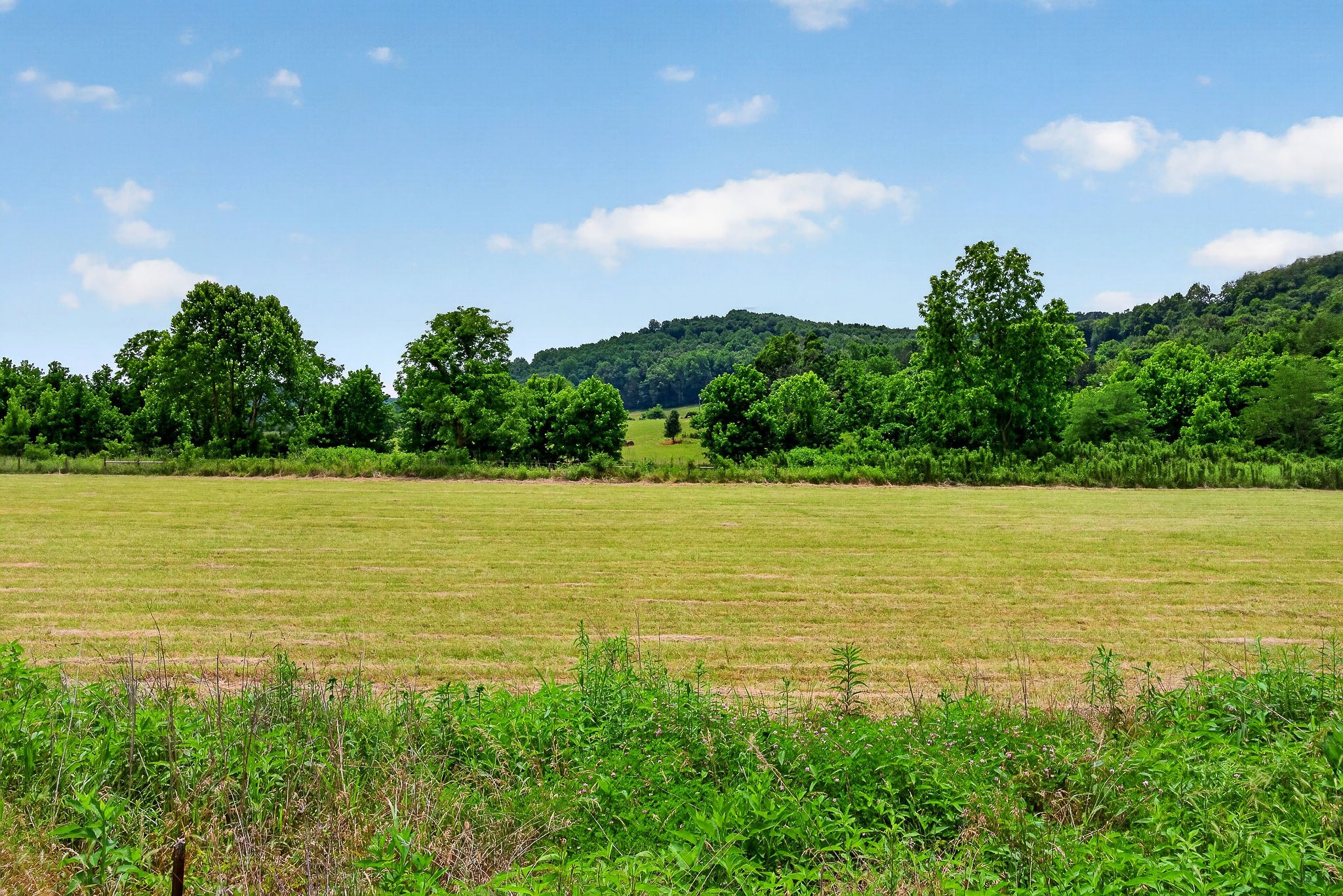 200 Max Lane Rickman, TN 38580 - Photo 45 of 54