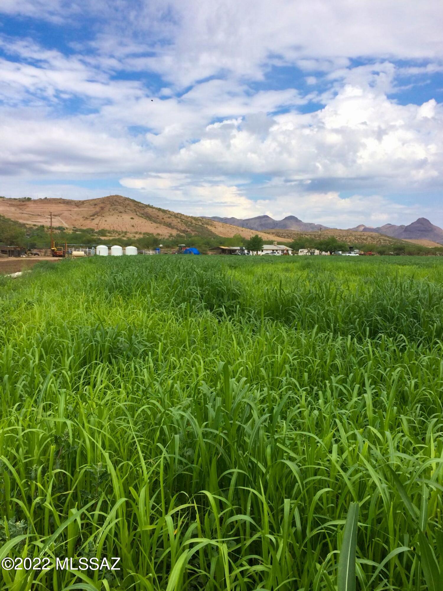 Dos Arbolitos Ranch Rio Rico, AZ 85648 - Photo 11 of 19