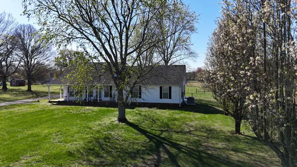 a view of a garden with mountain