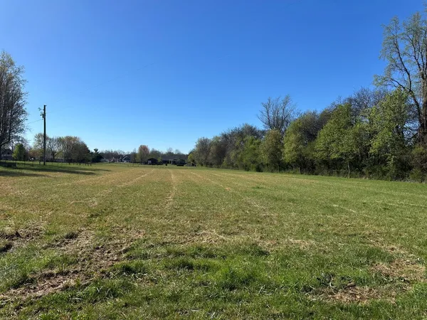 a view of a field with an ocean