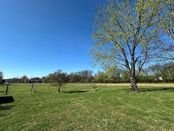 a view of a large garden with large trees and a big yard