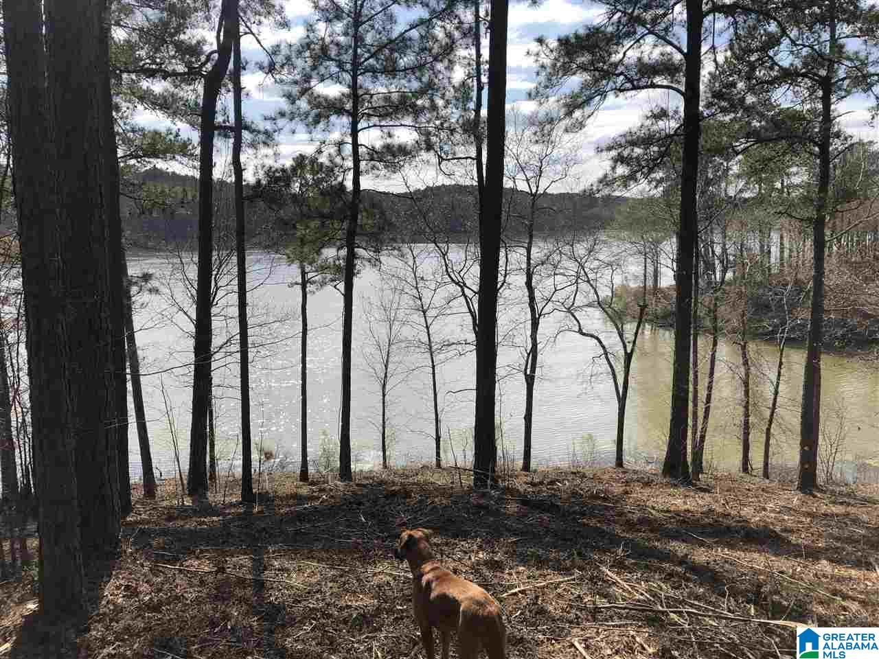 Stillwaters Trail Sylacauga, AL 35151 - Photo 14 of 30