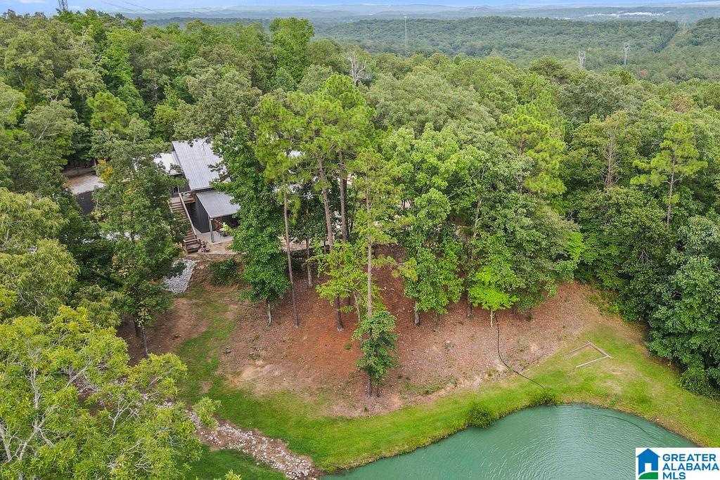 2249 Highway 93 Helena, AL 35080 - Photo 7 of 79