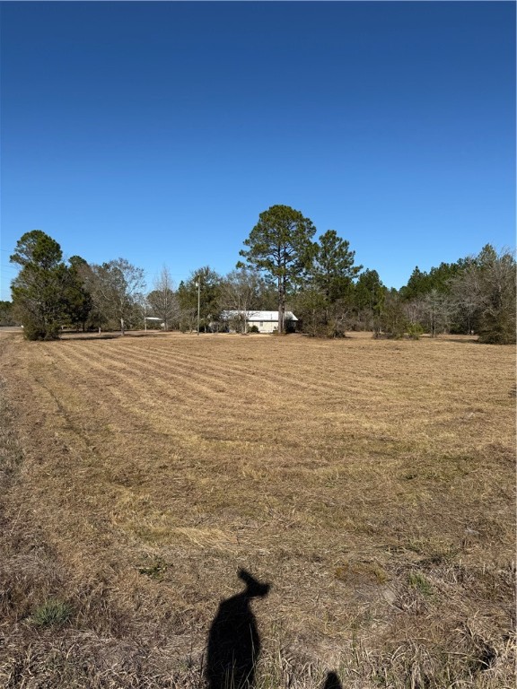 584 Knox Street Nahunta, GA 31553 - Photo 29 of 37