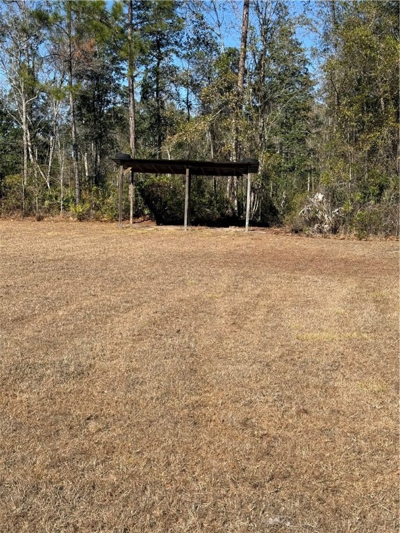 584 Knox Street Nahunta, GA 31553 - Photo 31 of 37