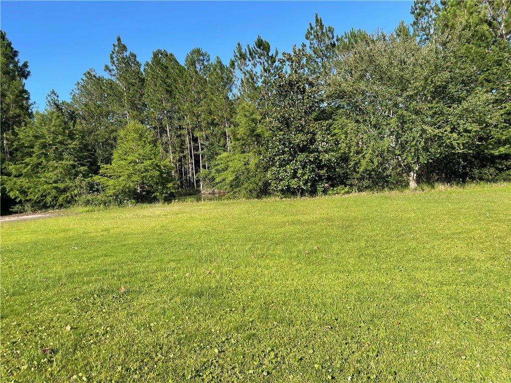 584 Knox Street Nahunta, GA 31553 - Photo 7 of 37