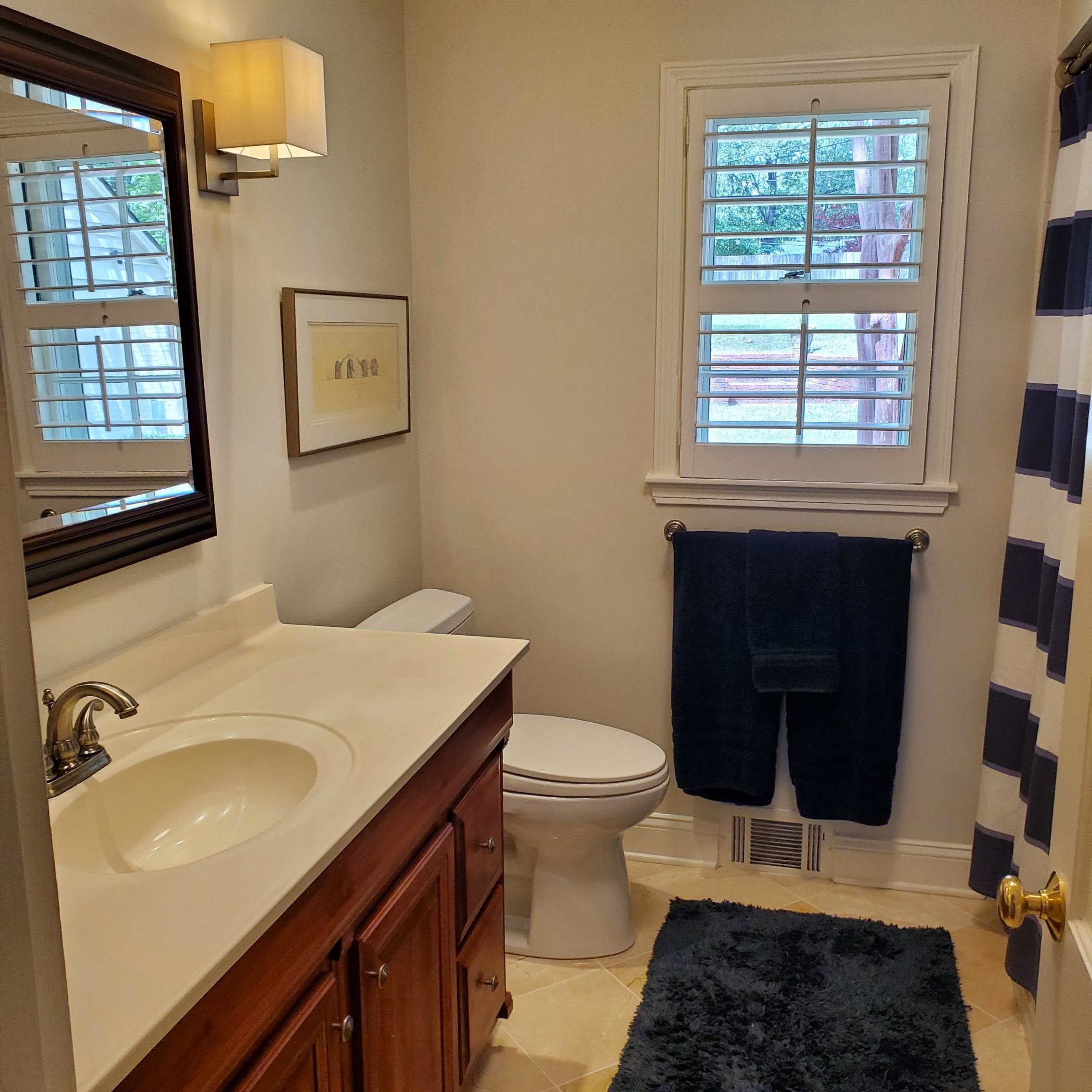 195 South Grove Park Road Memphis, TN 38117 - Photo 16 of 25 a bathroom with a sink toilet and window