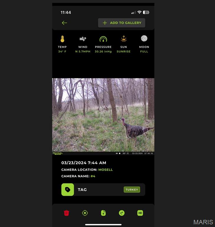 0 Old Cove Road St. Clair, MO 63077 - Photo 12 of 35