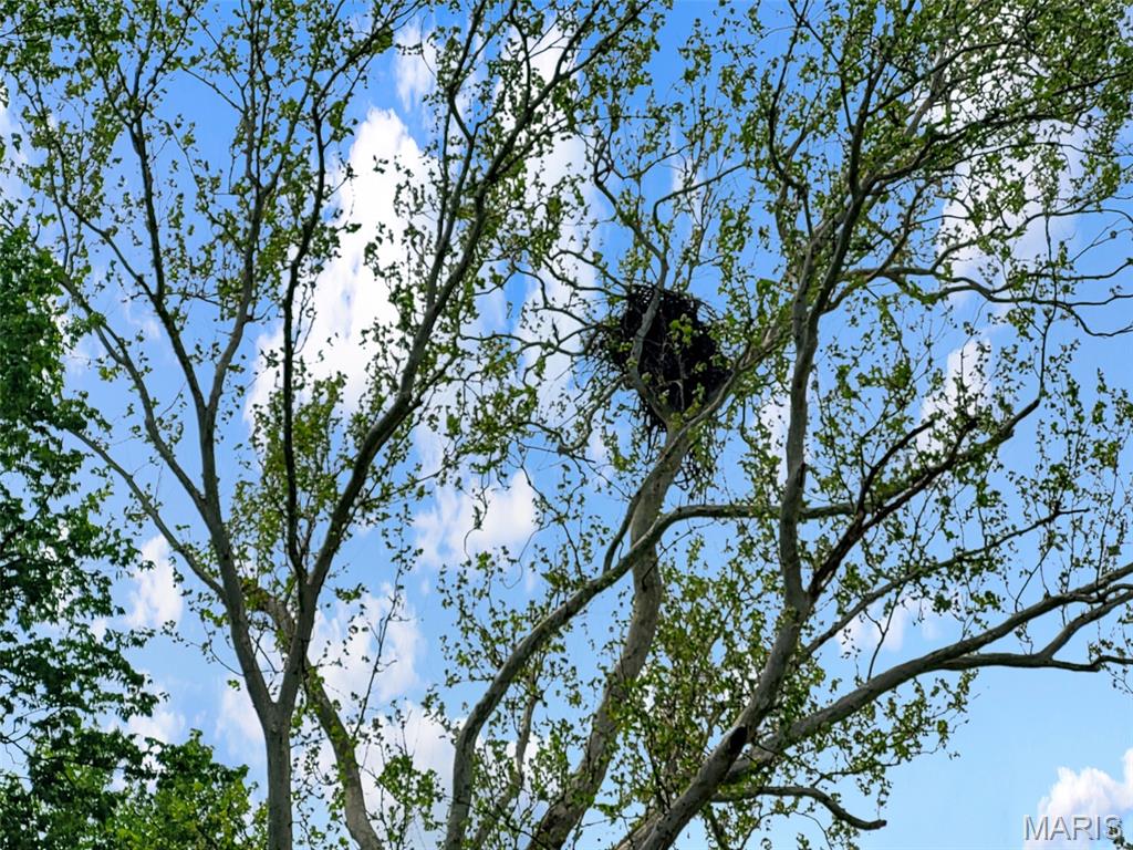 0 Old Cove Road St. Clair, MO 63077 - Photo 13 of 35