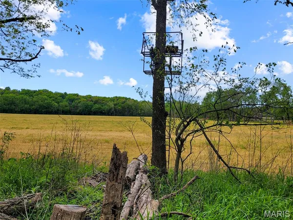 $699,000 | 0 Old Cove Road, St. Clair, MO 63077