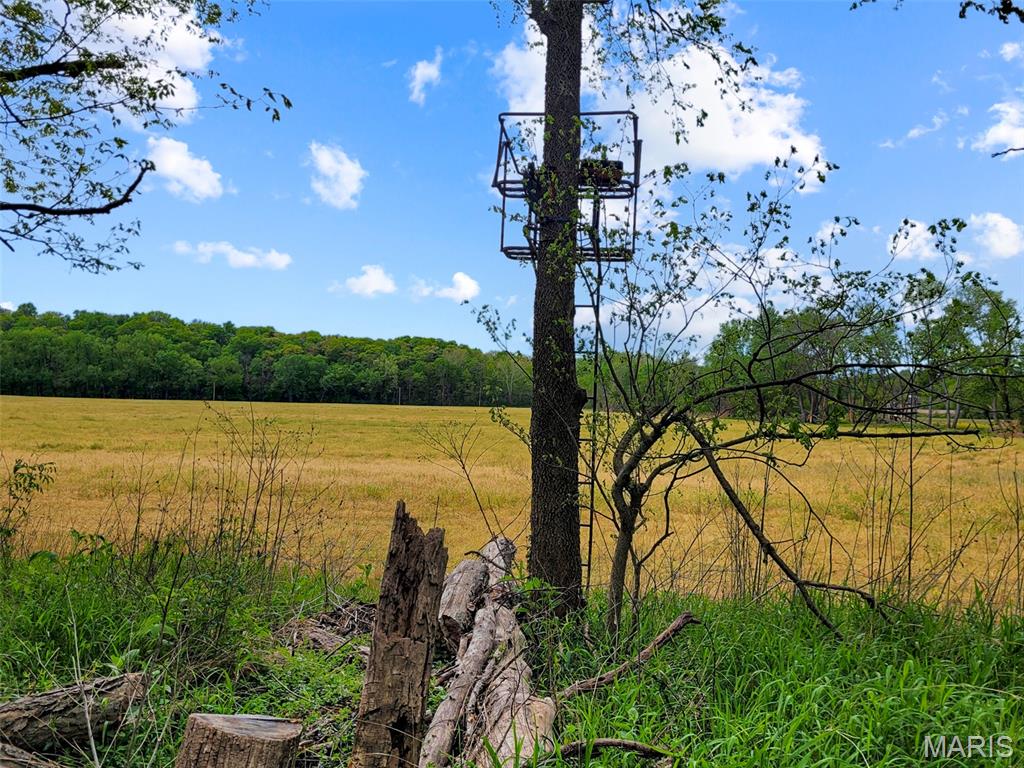 0 Old Cove Road St. Clair, MO 63077 - Photo 15 of 35