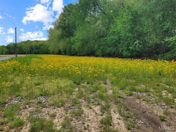 $699,000 | 0 Old Cove Road, St. Clair, MO 63077