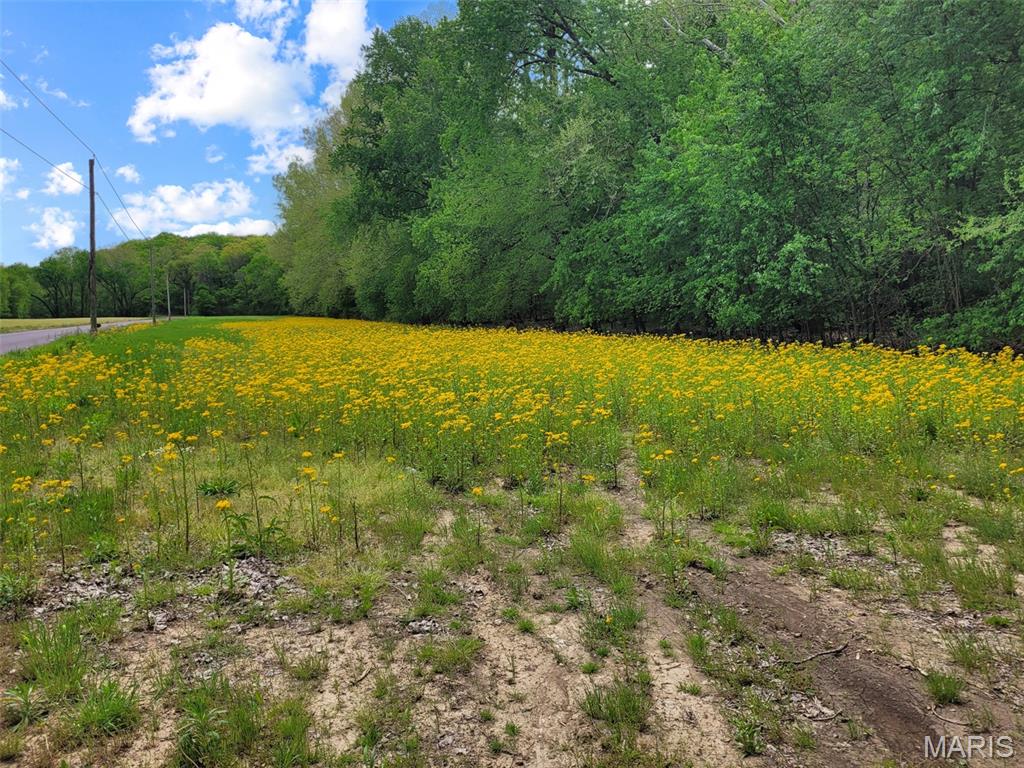 0 Old Cove Road St. Clair, MO 63077 - Photo 24 of 35