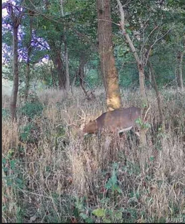 $699,000 | 0 Old Cove Road, St. Clair, MO 63077